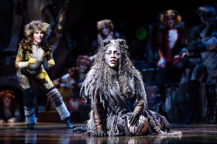 Gabriyel Thomas in CATS c Daniel Boud 055